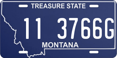 MT license plate 113766G