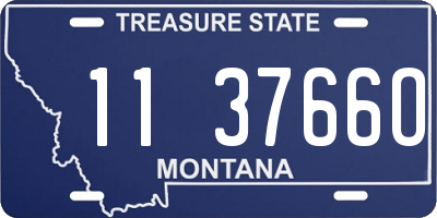 MT license plate 113766O
