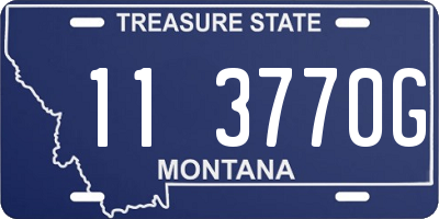 MT license plate 113770G