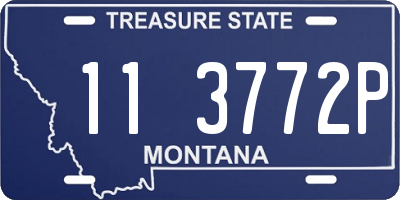 MT license plate 113772P