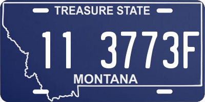 MT license plate 113773F