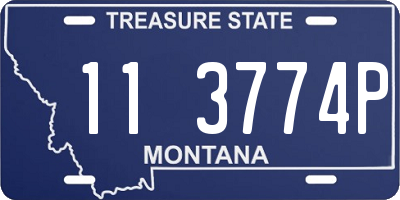 MT license plate 113774P