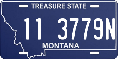 MT license plate 113779N