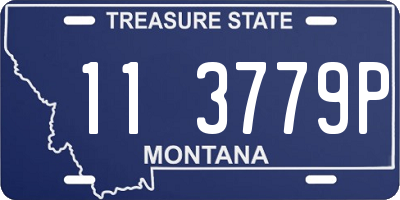 MT license plate 113779P