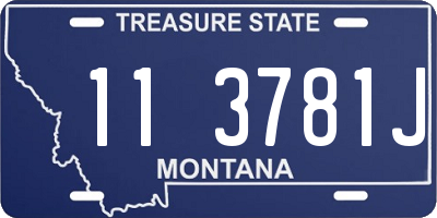 MT license plate 113781J