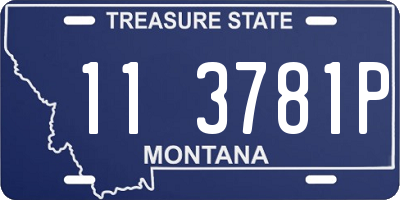 MT license plate 113781P