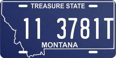 MT license plate 113781T