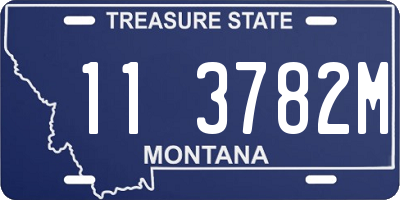 MT license plate 113782M