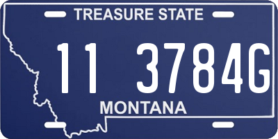 MT license plate 113784G