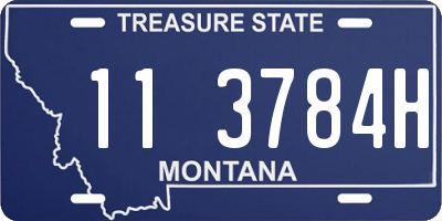 MT license plate 113784H
