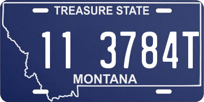 MT license plate 113784T