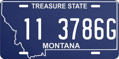 MT license plate 113786G