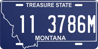 MT license plate 113786M