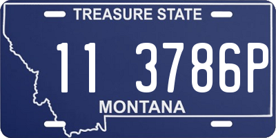MT license plate 113786P