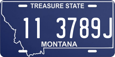 MT license plate 113789J