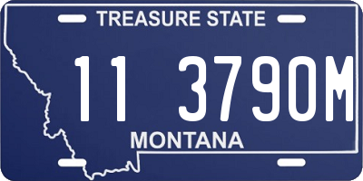 MT license plate 113790M