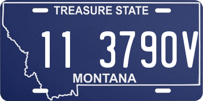 MT license plate 113790V