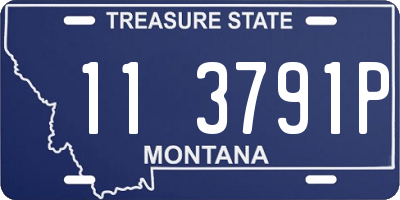 MT license plate 113791P