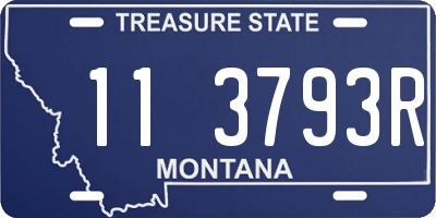 MT license plate 113793R