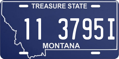 MT license plate 113795I