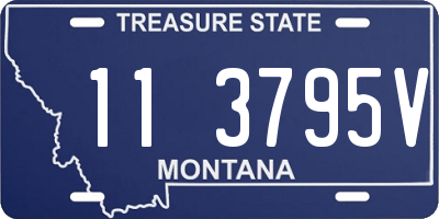 MT license plate 113795V