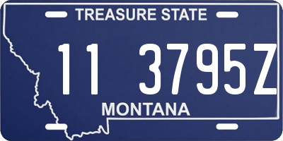 MT license plate 113795Z