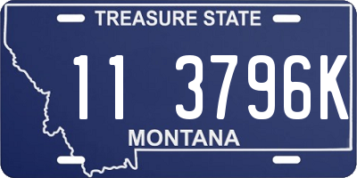 MT license plate 113796K