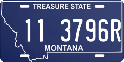 MT license plate 113796R