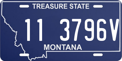 MT license plate 113796V