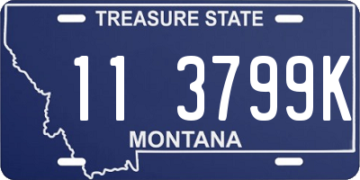 MT license plate 113799K