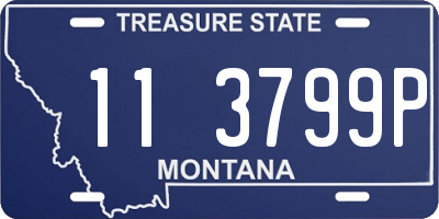 MT license plate 113799P