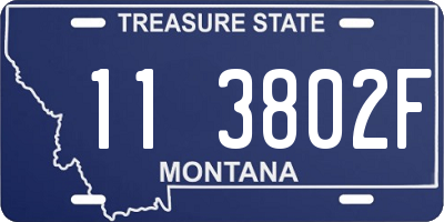 MT license plate 113802F