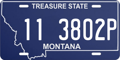 MT license plate 113802P