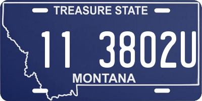 MT license plate 113802U