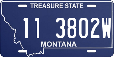 MT license plate 113802W