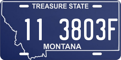 MT license plate 113803F