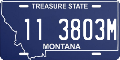 MT license plate 113803M