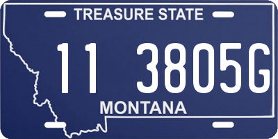 MT license plate 113805G