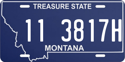 MT license plate 113817H