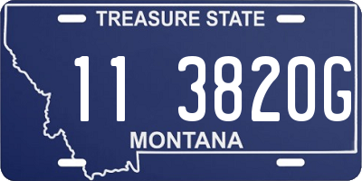 MT license plate 113820G