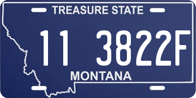 MT license plate 113822F
