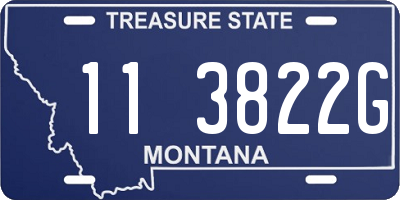 MT license plate 113822G
