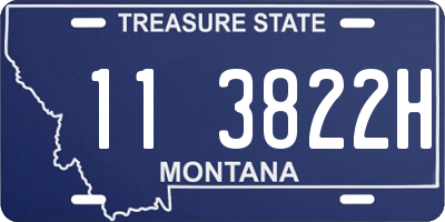 MT license plate 113822H