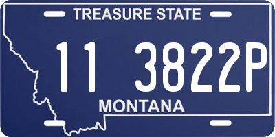 MT license plate 113822P