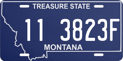 MT license plate 113823F