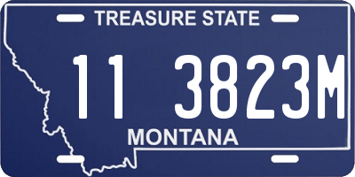 MT license plate 113823M