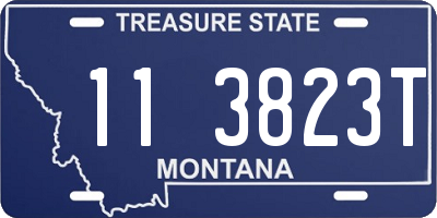 MT license plate 113823T