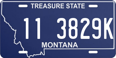 MT license plate 113829K