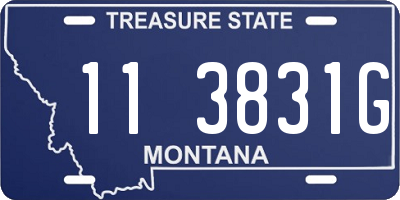 MT license plate 113831G