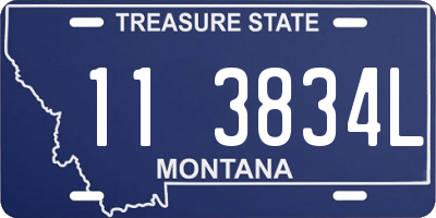 MT license plate 113834L